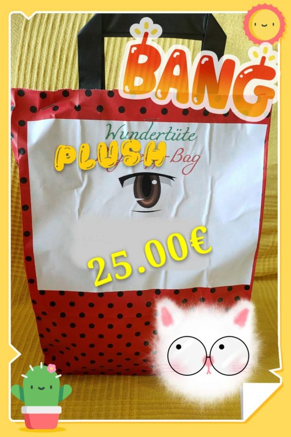 Plüsch Fukubukuro Lucky Bag Wundertüte Mystery Bag für 25,00 Euro