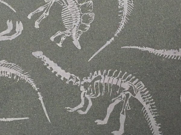 Tablet Tasche, Tablet Hülle Dinosaurier Skelette braun