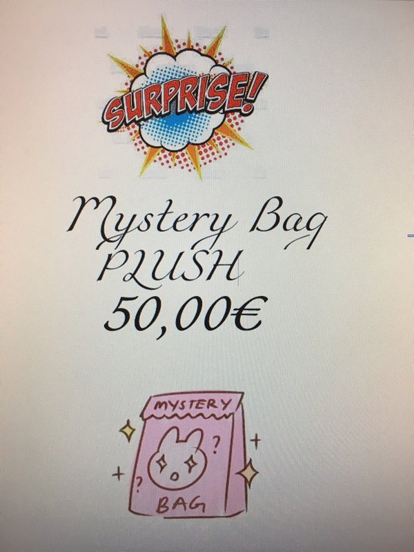 Plüsch Fukubukuro Lucky Bag Mystery Bag 50€