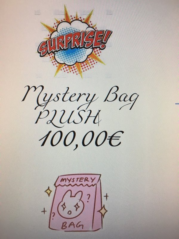 Plüsch Fukubukuro Lucky Bag Mystery Bag 100€